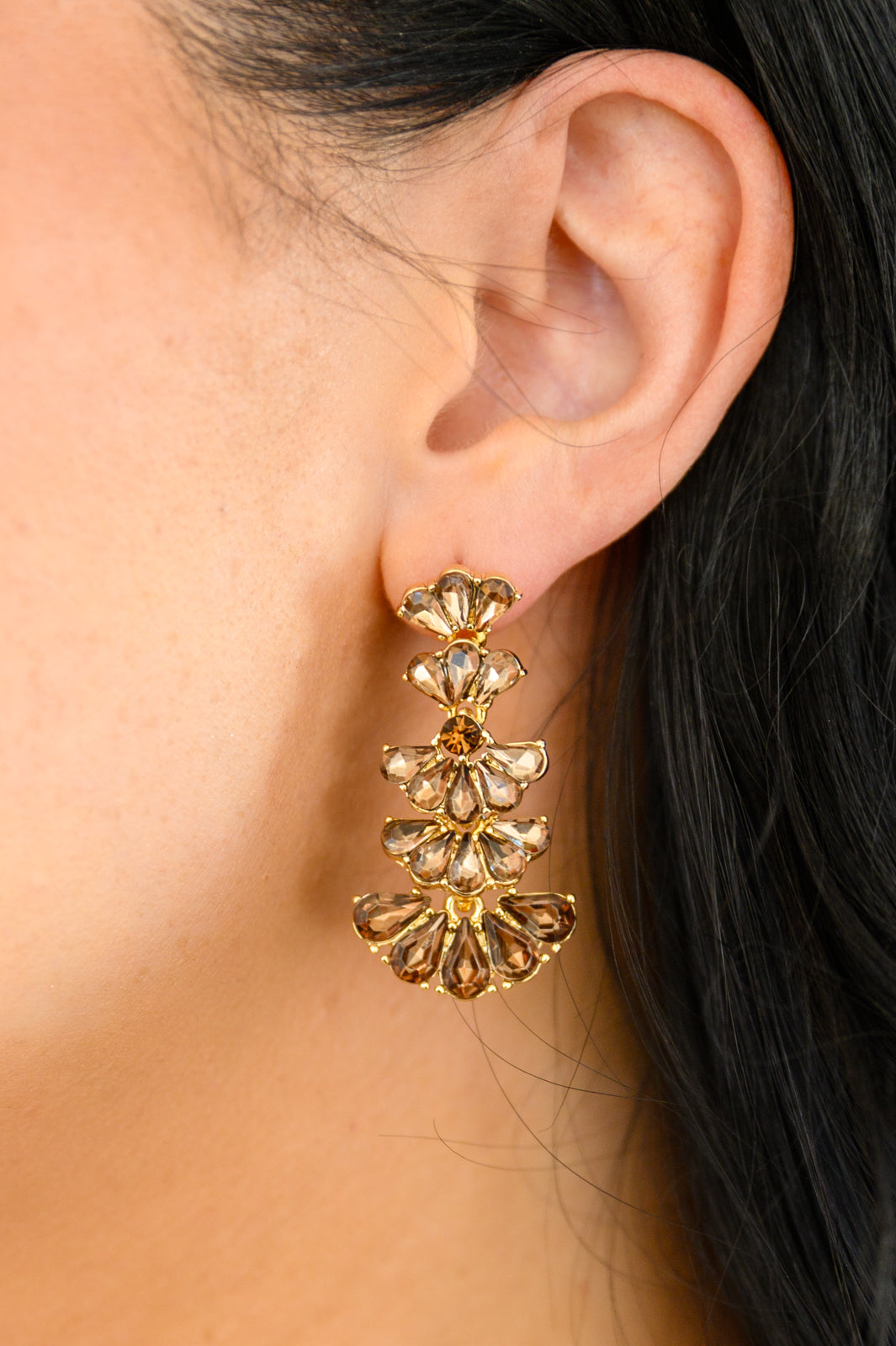 Ella Smoky Crystal Drop Earrings in Smoky Brown